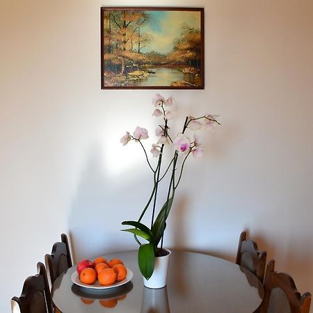 Apartment Matea Petrovac Bagian luar foto